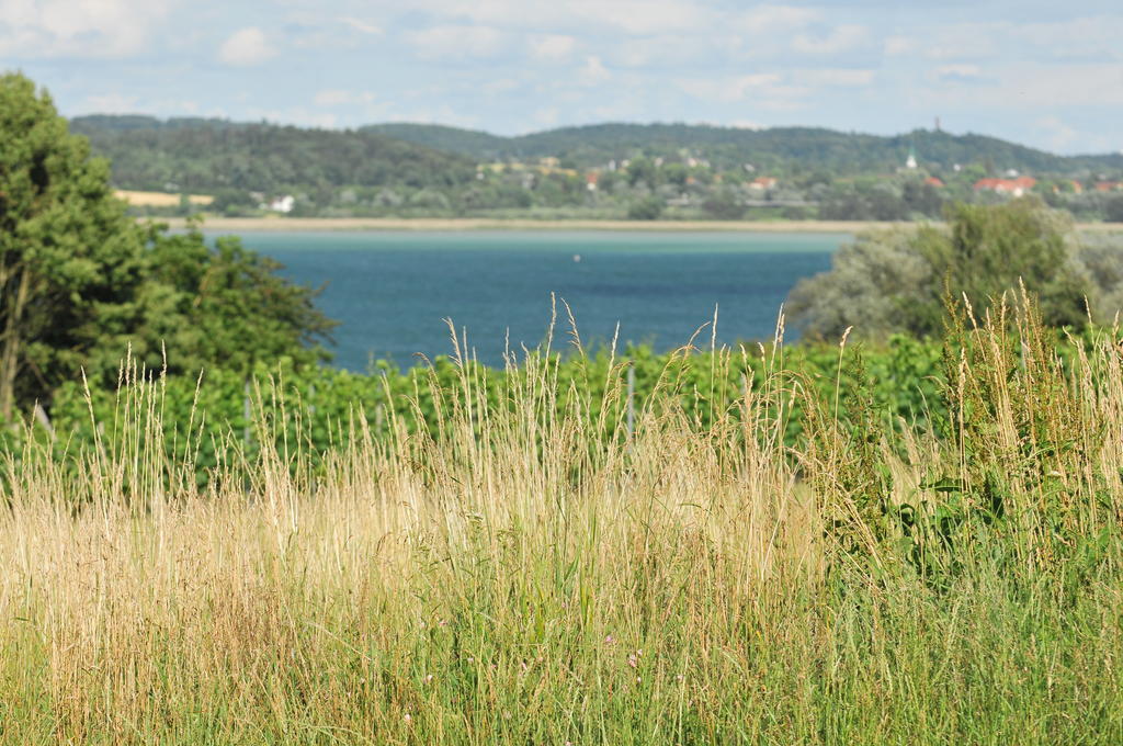 Hotel Mein Inselglueck Reichenau Esterno foto